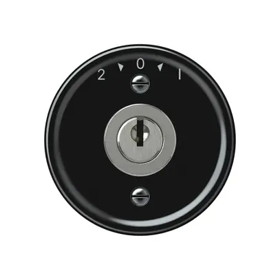 Pulsante rotativo origin con cilindro 1P 2>0<1 10A 230V 60×60mm nero 
