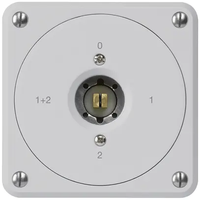 Interruttore a chiave quadrata INC robusto senza coperchio 1/1P grigio combi 