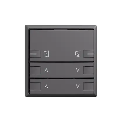 Frontplatte EDIZIOdue zeptrionAIR Motor 2K S1/S2 mit LED dunkelgrau 