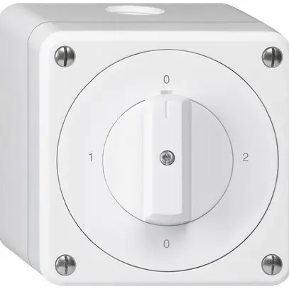 Interruttore rotativo AP robusto IP55 schema 2/1P bianco 