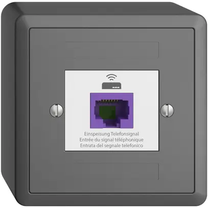 Prise de retour AP EDIZIOdue 1×RJ45 p.Swisscom VoIP, 8 pôles, UTP, gris foncé 