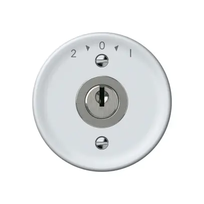 Pulsante rotativo origin con cilindro 1P 2>0<1 10A 230V 60×60mm bianco 