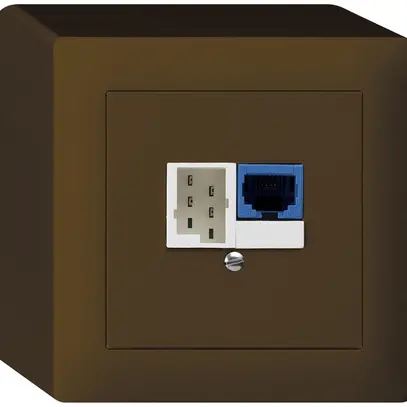 Boîte DSL AP 1×RJ45/1×T+T brun 