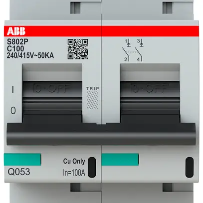 Disgiuntore ABB S802P-C100 2P 400V C-100A 50kA 3UM 