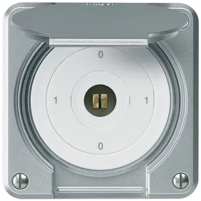 Interruttore a chiave quadrata INC robusto IP55 con coperchio S0/1P all combi 