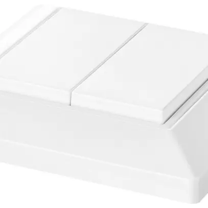 AP-Funktaster EnOcean Tridonic basicDIM Wireless UI EWSDB 2-Kan weiss 