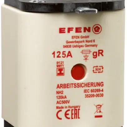 Fusibile HPC Hager DIN2 500VAC 125A gR segnalatore centrale inossidabile 