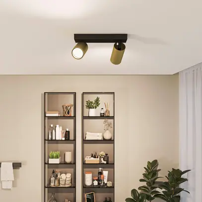 Spot Philips Idris GU10 2×5W IP44 240×119mm nero/ottone 