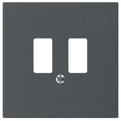 Plaque frontale kallysto pour prise USB anthracite 