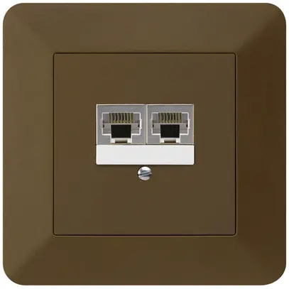 Boîte ENC kallysto.trend 2×RJ45s brun parallèle 
