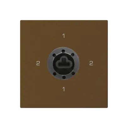 Einsatz zu Schlüsselschalter kallysto 3/1L braun f.Sicherheitsschloss o.Zylinder 