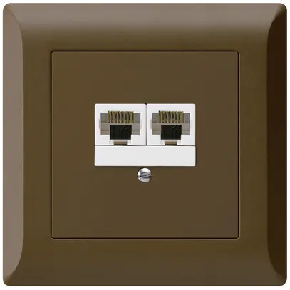 Boîte ENC kallysto.line 2×RJ45u brun parallèle 