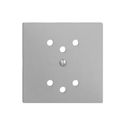 Frontplatte EDIZIOdue 2×T12 silver 