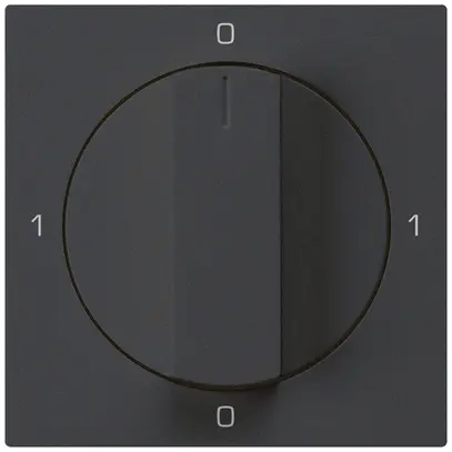 Intérieur pour interrupteur rotatif kallysto 0/1L noir avec manette 