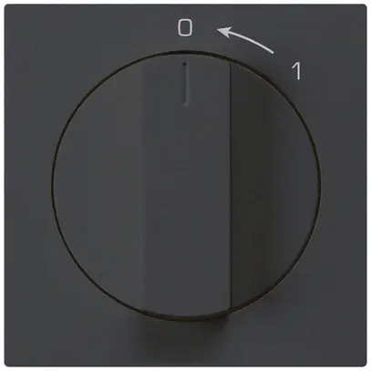 Contact pivotant 0<-1/1L noir kallysto avec manette 
