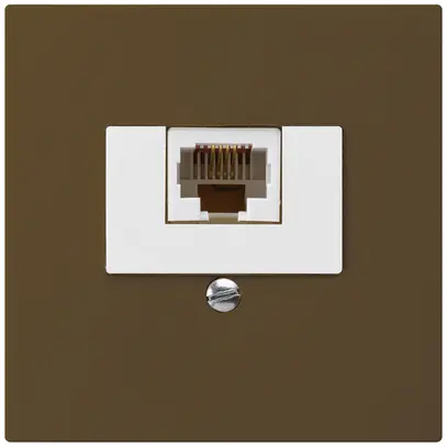 Scatola INC kallysto 1×RJ45u marrone 