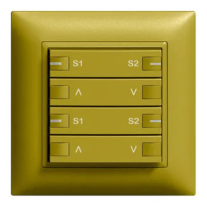 UP-Taster ZEP Motor Szene 2K/4T Zentral-Nebenstelle EDIZIOdue olive 