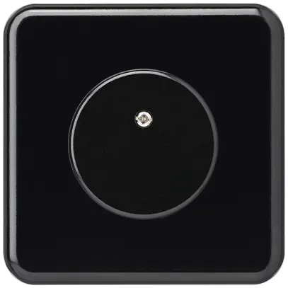 Plaque d'obturation ENC basico Ø43mm noir 
