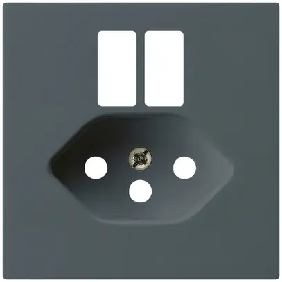 Plaque frontale kallysto pour prise 2×USB & T13 anthracite 
