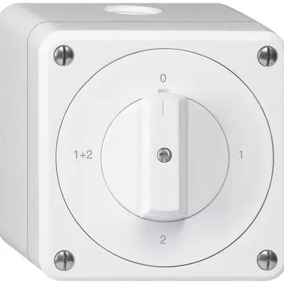 Interruttore rotativo AP robusto IP55 schema 1/1P bianco 