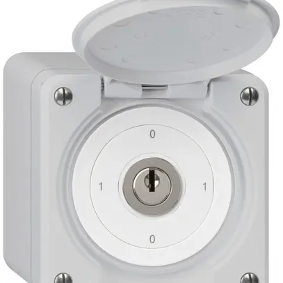 Interrupteur à clé AP robusto IP55 avec clapet S0/1P gris 