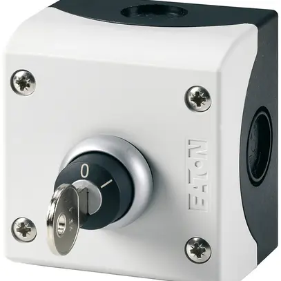 Interruttore a chiave AP ETN 10A 1Ch/1A grigio 