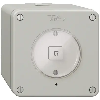 Pulsante scena AP 1 scena/1T NEVO Wiser grigio chiaro 