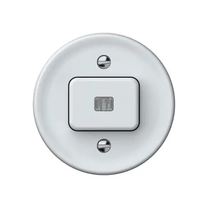 Pulsante luminoso origin 1×tasto luminoso 1CO 1P 0<1 10A 230V 60×60mm bianco 
