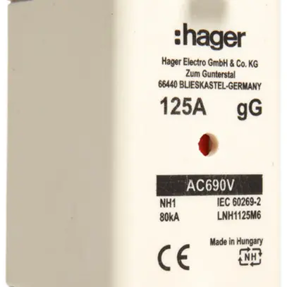 Fusibile HPC Hager DIN1 690VAC 125A gG/gL segnalatore doppio inossidabile 