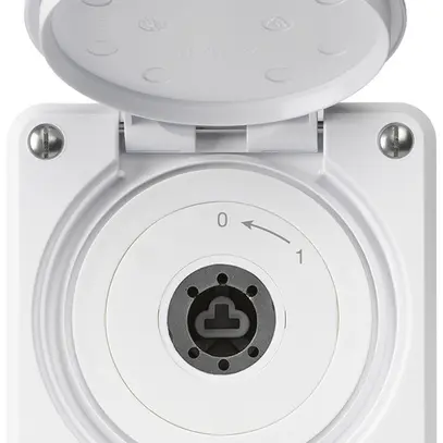 Contact pivotant à clé ENC robusto IP55 blanc avec clapet sans cylindre 1P 