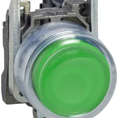 Poussoir INC avec capuchon Schneider Electric 1F vert 