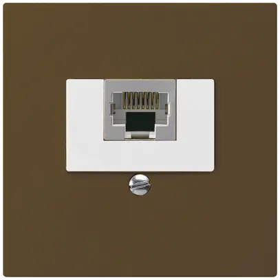 Scatola INC kallysto 1×RJ45s marrone 