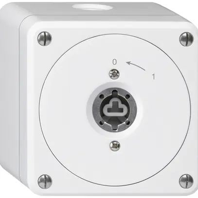 Contact pivotant à clé AP robusto blanc sans clapet sans cylindre 2P 