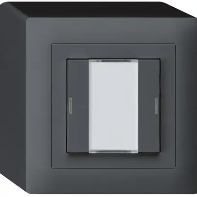 Tasto AP kallysto KNX 2×antracite LED RGB s/e-link 