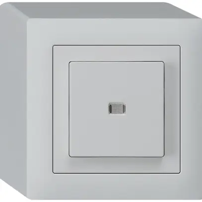 Contact à poussoir lumineux AP kallysto AR/2L gris clair 