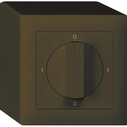 AP-Drehschalter kallysto 5/1L br mit Drehgriff 