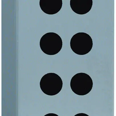 Boîtier AP Schneider Electric 80×220×77mm 8 alésages 
