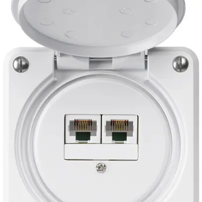 Boîte de raccordement ENC robusto IP55 blanc 2×RJ45/u séparés 