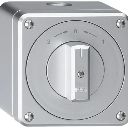 AP-Schwenktaster robusto IP55 aluminium Wechsler 