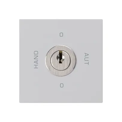 Intérieur interrupteur à clé 0-Hand-0-Aut. kallysto 2/1L gris clair avec serrure 