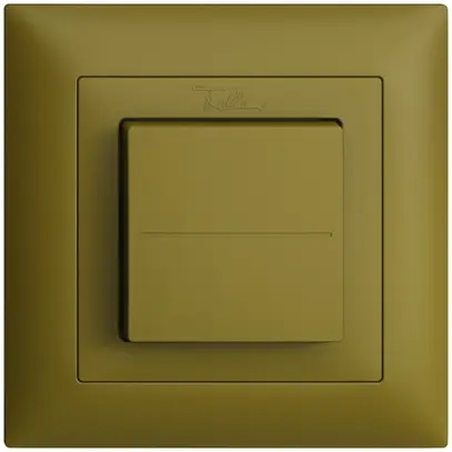 Poussoir RF Bluetooth Feller EDIZIOdue FMI, Low Energy, 2c/1t, sans piles, ov 