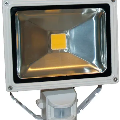 Projecteur LED 30W gris avec détecteur de mouvement 