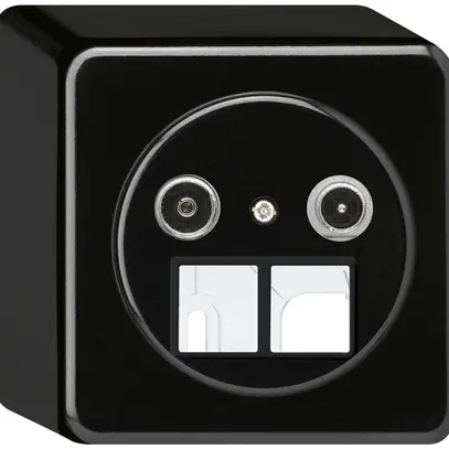 Presa multimedia AP basico TV-R 4dB 2GHz nero 