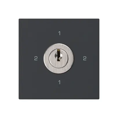 Einsatz zu Schlüsselschalter kallysto 3/1L schwarz mit Schloss Kaba 8 