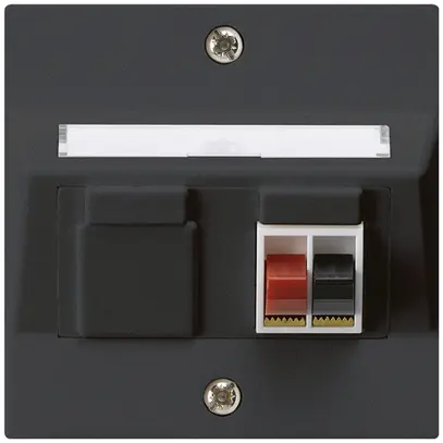 Prise ENC audio kallysto 1×noir borne à étrier pour 1 haut-parleur 