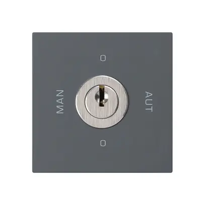 Einsatz zu Schlüsselschalter 0-Man-0-Aut. kallysto 2/1L anthrazit mit Schloss 