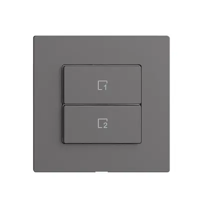 Comando per pulsante scena 2 scene vert./2T Edue Wiser grigio scuro 