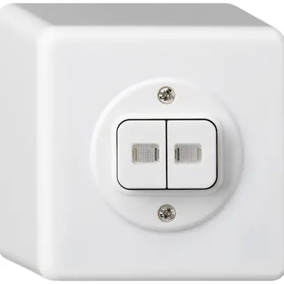 Pulsante luminoso AP basico 2×AR/1L bianco 