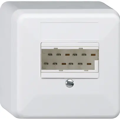 Scatola di raccordo AP basico 2×TT83 bianco 62×62×36mm 