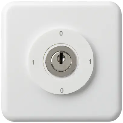 Interrupteur à clé ENC 0/2L blanc basico 